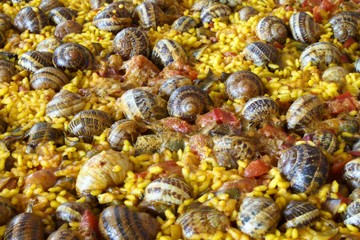 background of stones