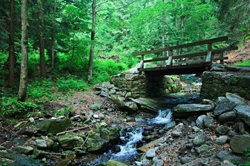 Czech Republic-view of Cernohorsky stream and Luisina way in Giant Mountains