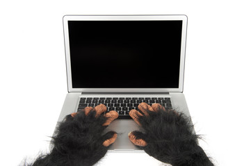 Hairy beast hands of an Internet troll typing on laptop computer with blank screen on white...