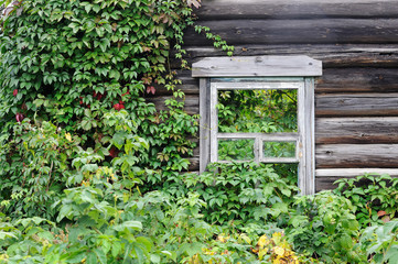 Fototapeta na wymiar Window without glass in an abandoned village house overgrown with shrubs