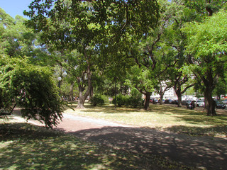 Public Park Jose Battle & Ordonez is in Montevideo downtown