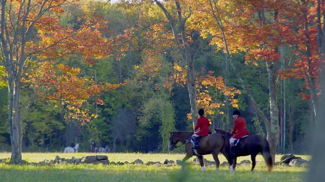 Two horse riders in fox hunt apparel in scenic setting early autumn wide