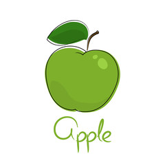 Green apple and text Apple, fruit isolated on white background, vector illustration