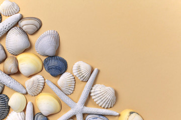 Sea background with starfish and seashells in white and cream yellow color on light beige background with blank copy space