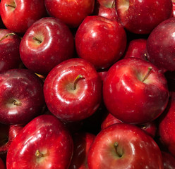 many apples on display in a supermarket