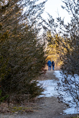 Obraz premium Late Afternoon Walk