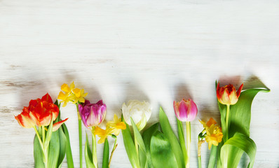 Easter card with spring flowers, copy space