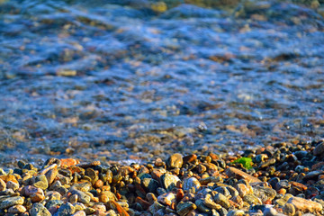 Colorful beautiful pebbles on the shore of lake Baikal and a bright green spot of algae . At sunset. Clear blue water in the lake. Eastern Siberia. Russia.