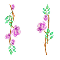 Watercolor sakura frame. Background with blossom cherry tree branches. Hand drawn japanese flowers on white background.  illustration