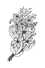 flowers bouquet of chamomile lilies. eps10 vector stock illustration. hand drawing