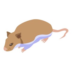 Small mice icon. Isometric of small mice vector icon for web design isolated on white background