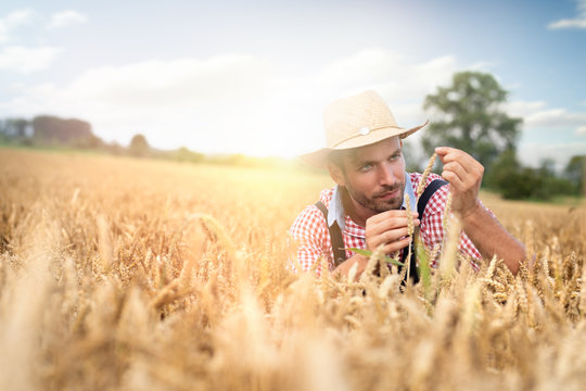 Caucasian Farmer Crouching In Field Checking Crop