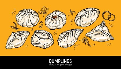 Different dumplings types. Manty, dumplings, pyanse and buuzy. Hand drawing vector sketch.