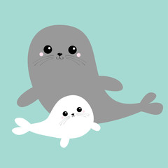 Sea lion. Harp seal pup set. Cute cartoon kawaii character. Gray white color. Happy animal collection. Sea ocean water. Mother and baby family. Blue background. Isolated. Flat design