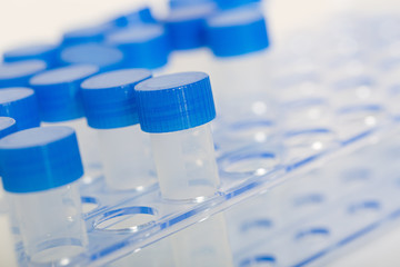 empty test tubes ready for coronavirus testings