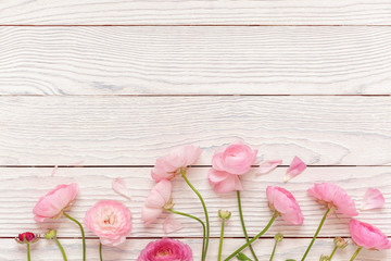 Pink ranunculus flowers on white wooden background. Holiday, greetings, love, romantic concept. Flat lay, copy space