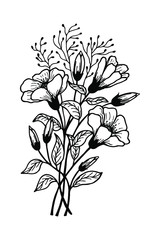 bouquet of flowers. eps10 vector stock illustration. hand drawing