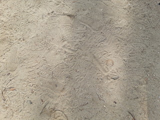 sand texture 3
