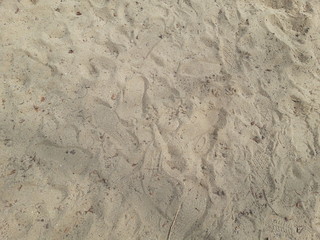 sand texture 2