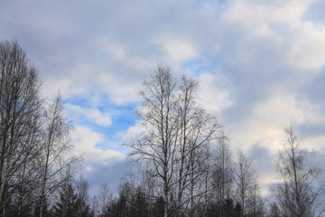 Kostomuksha, Karelia, Russia.There are blue skies and clouds.March, 10.2020.