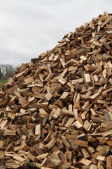 Warming wood pile alternative renewable energy
