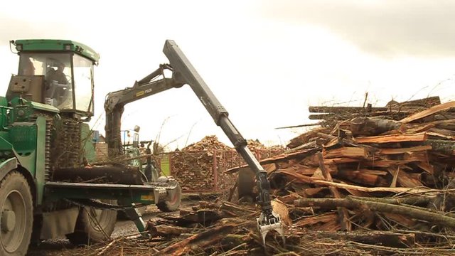 Giant wood chipper industrial machinery 