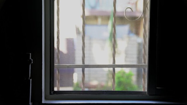 Static shot looking through a window to the outside world.  4K 23.98 fps.