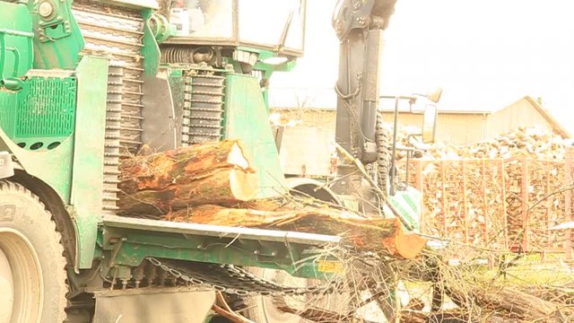 Giant wood chipper industrial machinery 