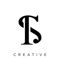 ts logo design vector