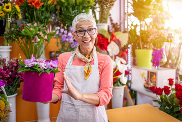 Senior woman sales flowers in flower shop. Happy smiling mature florist woman having eyeglasses and working at flower shop. Portrait of successful modern florist wearing apron. - obrazy, fototapety, plakaty