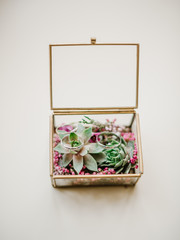 Top view of wedding rings in glasses box with plants inside. close up