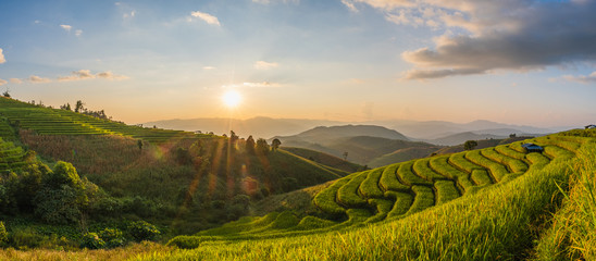 Rice fields Before harvesting sunset Farmer's house Terraced rice paddy field in Chiang Mai, Thailand.View image panorama © pongsakorn