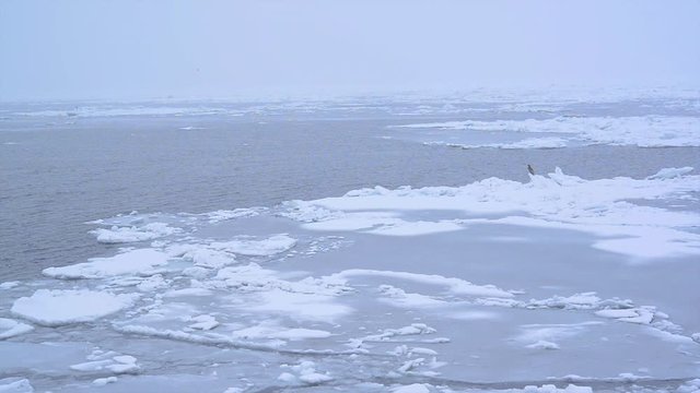 Drift ice and snowstorm