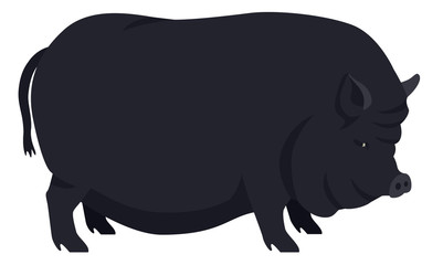 Farming today The Vietnamese Pot-bellied Breeds of domestic pigs Vector illustration Isolated object