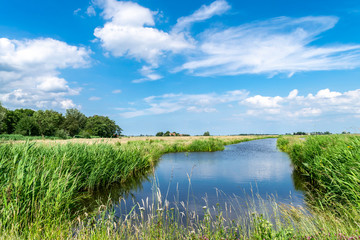 Beautiful summer nature with bright colors and sunlight.  Green bright rural summer landscape with a blue river, reflections in the water, marsh plants, tall grass in the meadow against the blue sky.