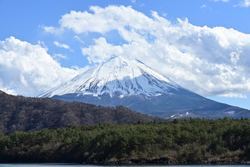 Fototapeta premium Mt. Fuji straddles Yamanashi and Shizuoka prefectures.