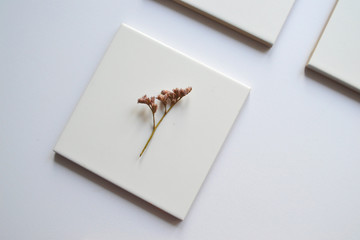 Dry flower on a square white tile. Minimalism and minimalist art. Beauty is in simplicity. Hipster, vintage style.