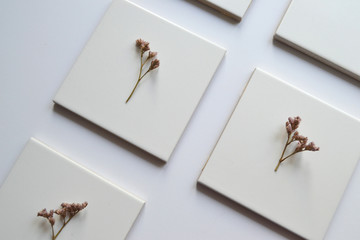 Dry flower on a square white tile. Minimalism and minimalist art. Beauty is in simplicity. Hipster, vintage style.