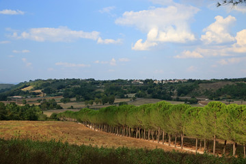 Fototapeta na wymiar Landscape of Tuscany near Coneo area, Italy