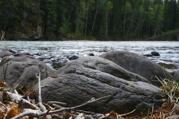 View of the rapids in the river. Wells Gray Provincial Park of British Columbia, Canada