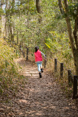 Obraz premium 春の森で遊んでいる子供