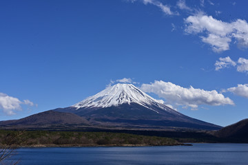 Fototapeta premium Mt. Fuji straddles Yamanashi and Shizuoka prefectures.