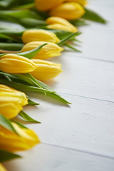 Row of fresh Yellow tulips on white wooden table