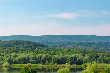 Fototapeta premium Natural view on a rural pond and a green forest. Clear blue sky background