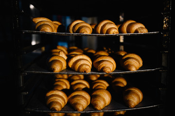 Fresh Baked Croissants with flour in a tray