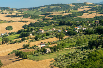 Fototapeta na wymiar Rural landscape near Mogliano, Marches, Italy