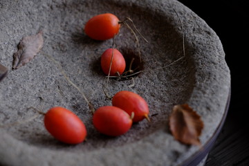 石臼の上にさり気なく飾られた、赤く熟したカラスウリの実　（前ピンバージョン）　