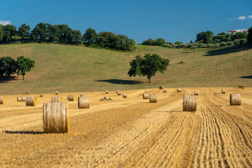 Obraz premium Rural landscape near Petriolo, Marches, Italy
