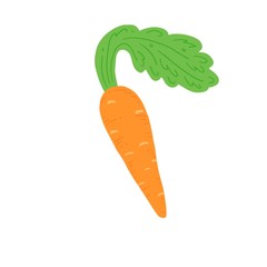 Carrot vector illustration isolated. Concept of healthy food, vegetable. Carrot have abstract, simple cartoon, hand drawn style.