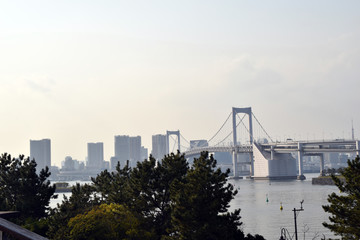 東京お台場　レインボーブリッジと桜